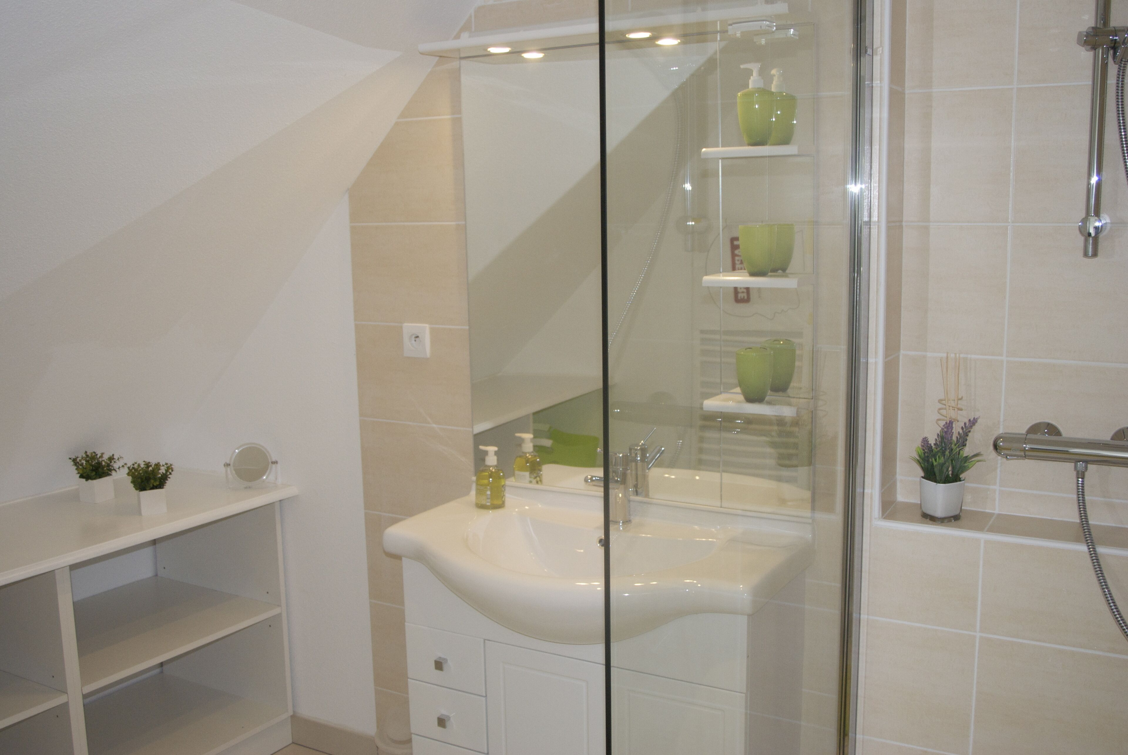 Combined shower/tub, hair dryer