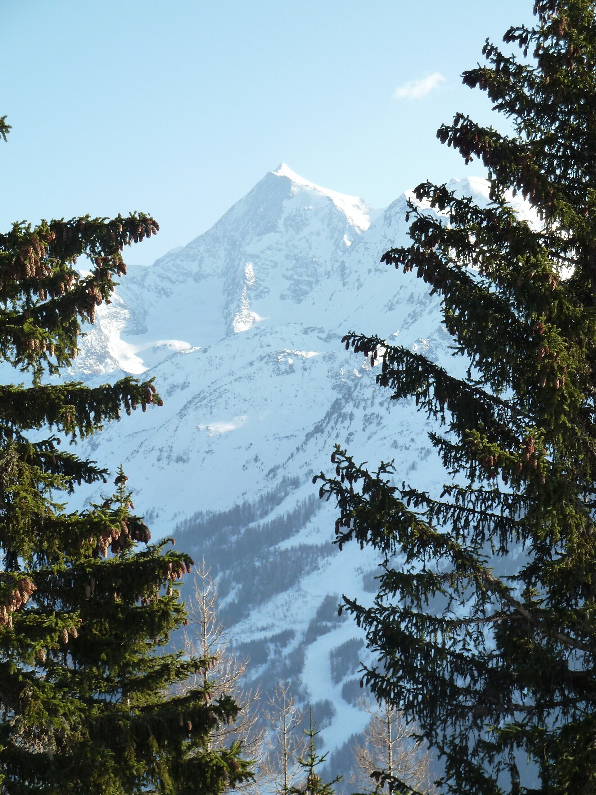 A snow-covered mountain with a clear sky.
