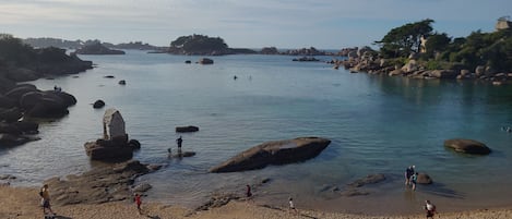 Nära stranden
