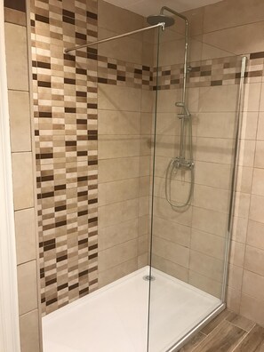 Shower, hair dryer, towels