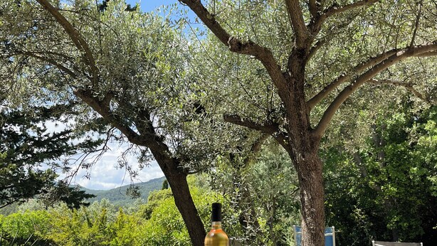 Outdoor dining - Villa Margerette (Callas)