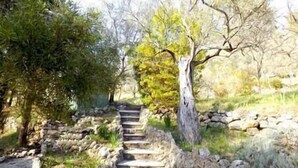 Property grounds - Villa Margerette (Callas)