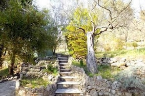 Parco della struttura