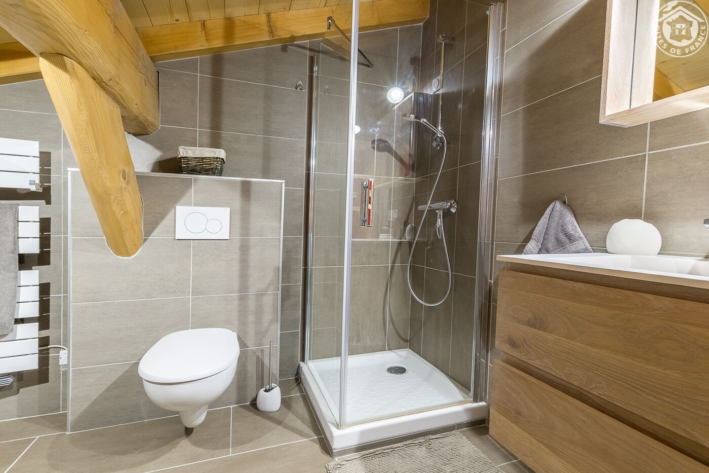 Shower, hair dryer, toilet paper