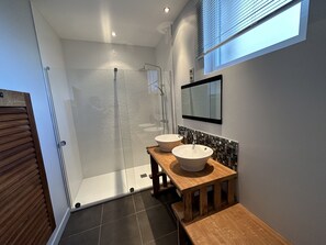 Combined shower/tub, hair dryer