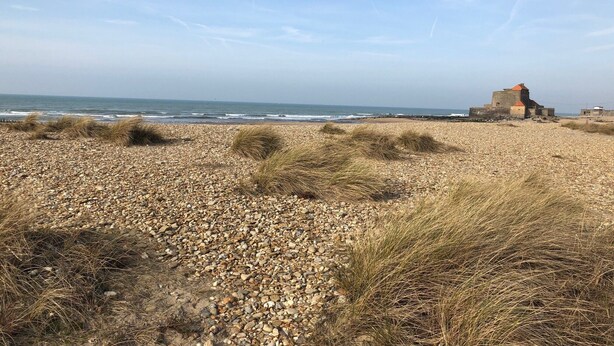A pebbled beach with dry grass and a historic building with a red roof.