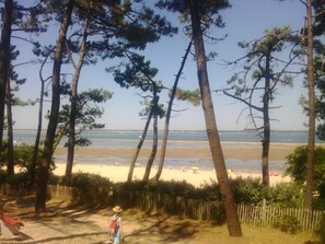 In Strandnähe, Strandtücher