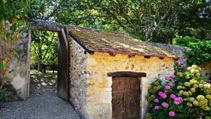 A rustic stone building with a wooden door and a sloped roof, surrounded by greenery and gravel. - Luxury property with pool in Tourraine (Saché)