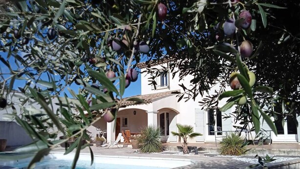 A pool area with a white building in the background, surrounded by olive trees and potted plants. - Beautiful Villa (Bastide) close to the sea and Pic Saint Loup (Sussargues)