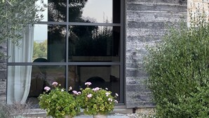 Un edificio moderno con fachada de piedra, ventanas amplias y plantas en macetas en el área de entrada.