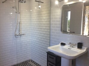 Regadera, secadora de cabello, toallas, papel de baño 