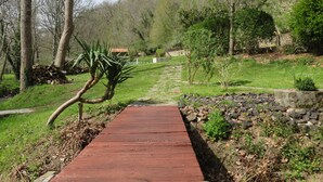Un sentier en bois traverse un parc bordé d’arbres, avec un mur de pierre d’un côté.