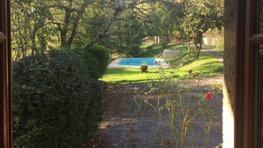 Une vue depuis une fenêtre donnant sur un jardin avec une piscine, entouré d’arbres et de verdure.