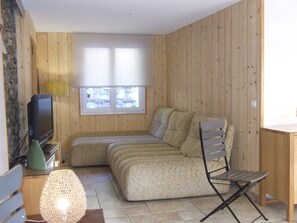 电视、DVD 播放器