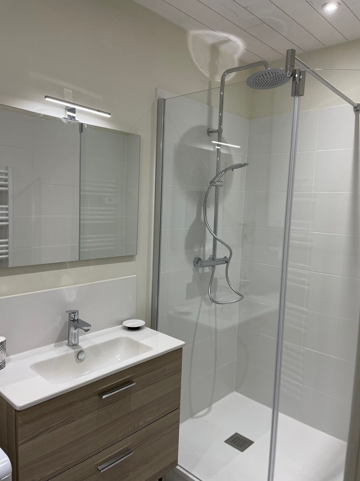 A modern bathroom with a glass-enclosed shower, a vanity with a mirror, and a sink.