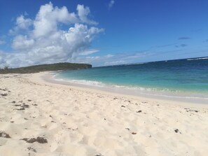 بالقرب من الشاطئ