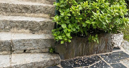 Cauterets unusual cottage heated pool, WIFI