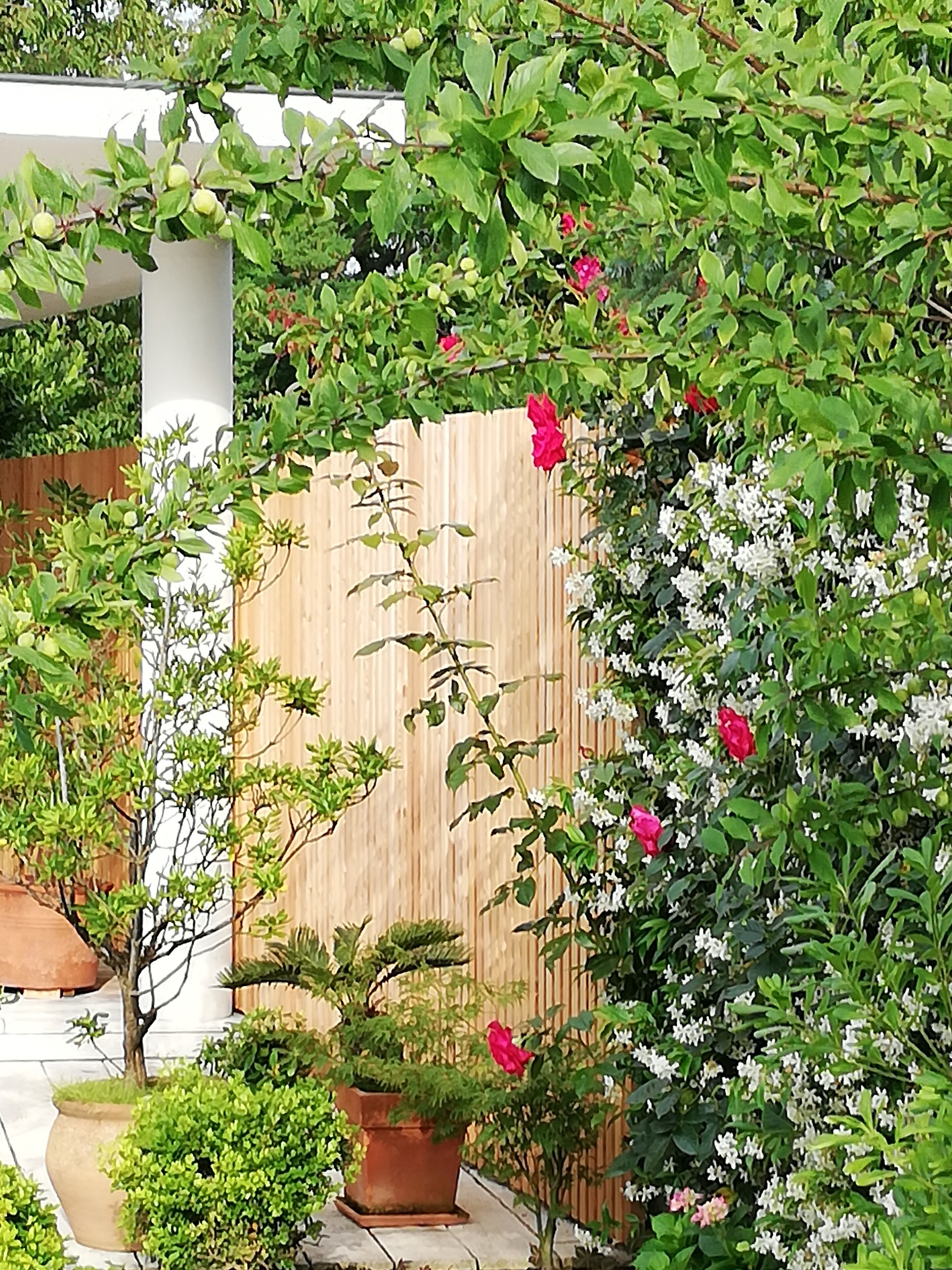 Àrea exterior de l'allotjament