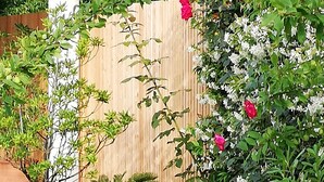 A garden with various plants and flowers, a wooden fence, and a potted plant. - beautiful modern villa with heated pool near: sea, golf, tennis and shops (Anglet)