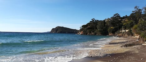 On the beach