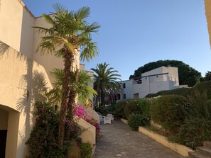 A narrow pathway flanked by buildings with palm trees and bougainvillea.