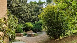 Ein Kiesweg führt durch einen Garten, auf der linken Seite befindet sich ein Tisch mit Stühlen.
