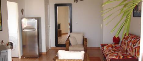 Tv, dvd-spelare och böcker