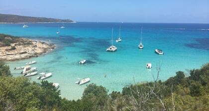 ST FLORENT - QUIET AND BRIGHT T3, COMMON SWIMMING POOL, TERRACES, CLOSE BEACHES
