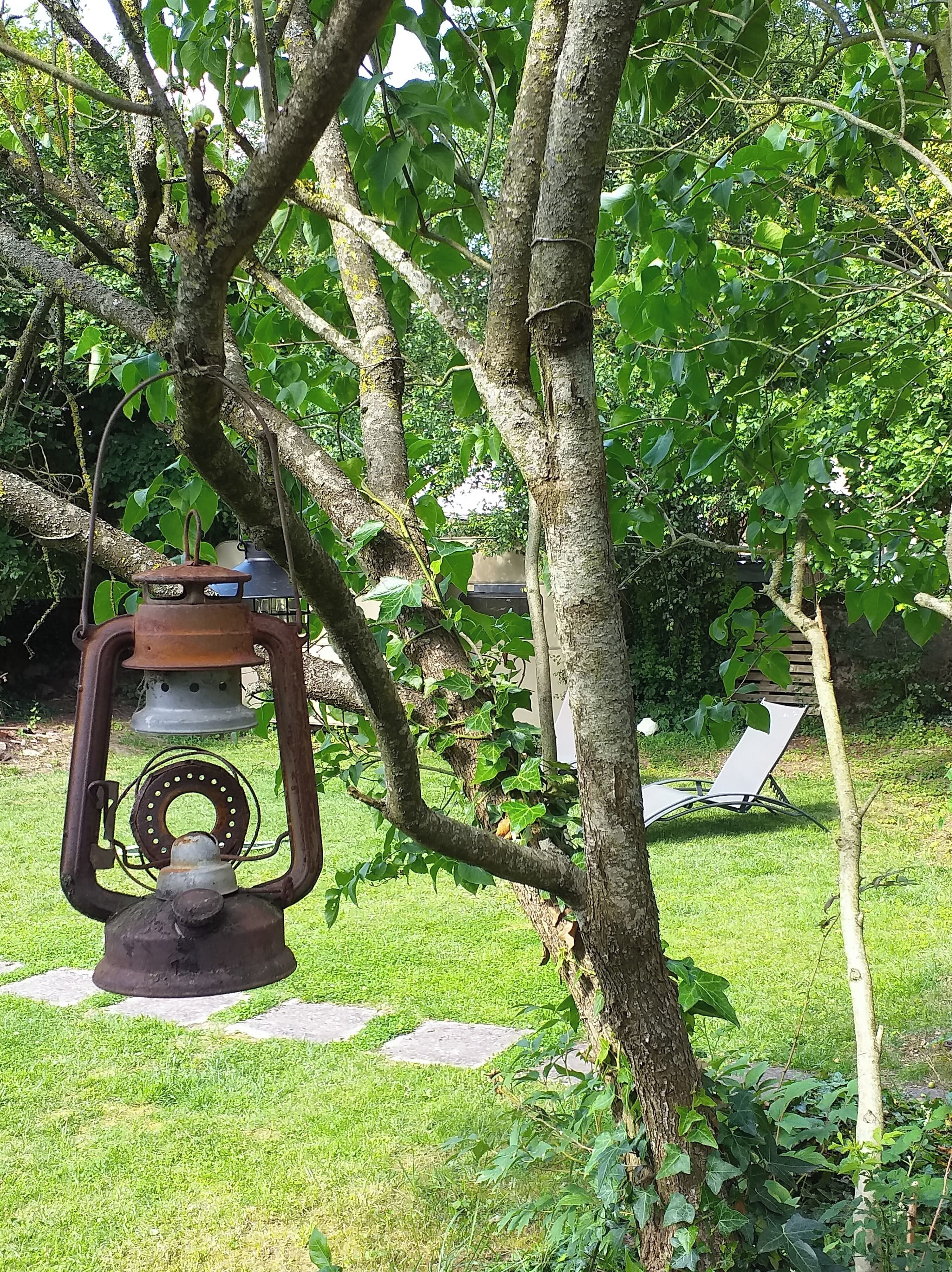 Àrea exterior de l'allotjament