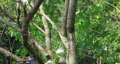 Cottage Les 2 Granges 15 people