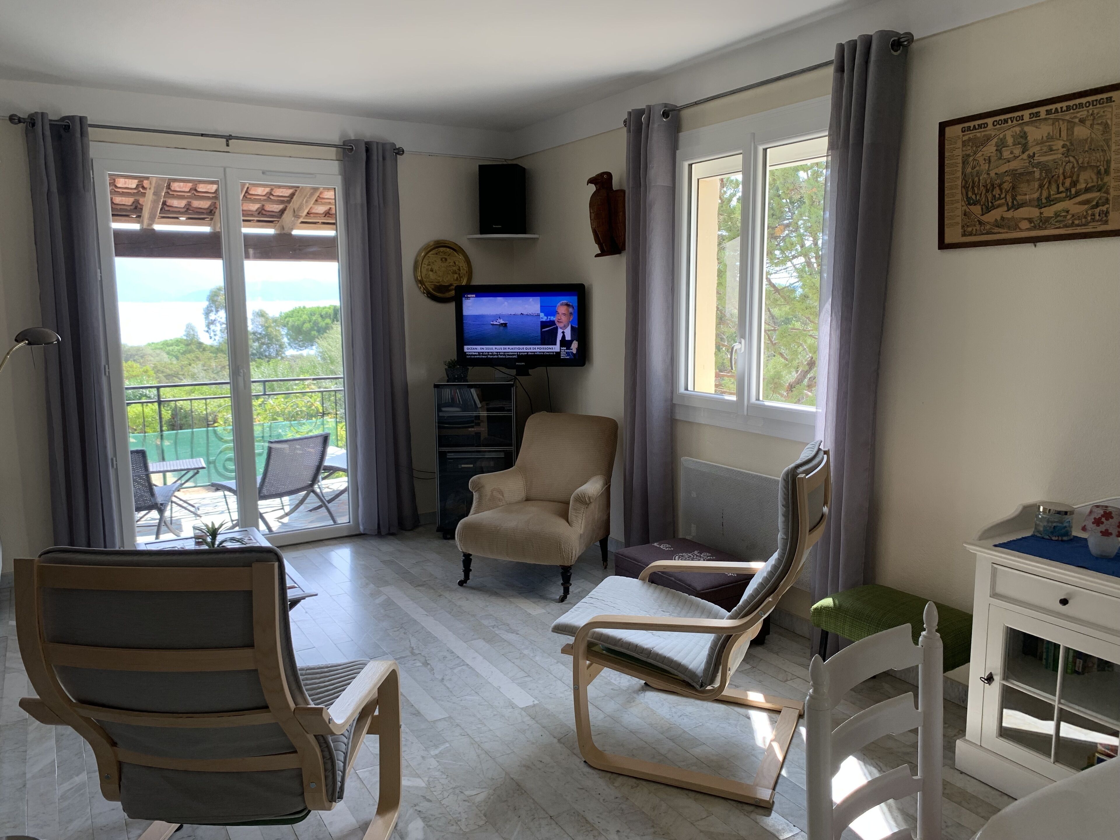 TV connectée, cheminée, lecteur de DVD, livres