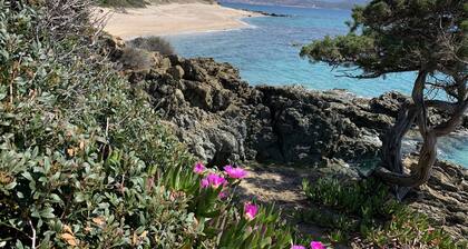 Villa am Meer - OLMETO Plage - Gulf VALINCO - 150m Strand - 8 Personen