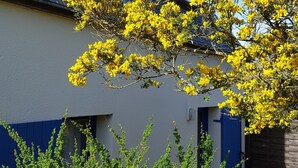 Une maison à l’extérieur bleue, avec un arbre aux fleurs jaunes devant.