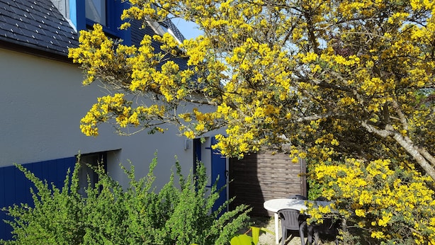 Une maison moderne avec une façade bleue, une clôture en bois et une table avec des chaises à l’extérieur.