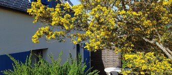 Maison Bleue - Finistère Sud - 4 people close to the beach and the port