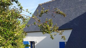 Une maison à l’extérieur blanc et aux volets bleus, entourée d’une végétation luxuriante et de plantes en fleurs.