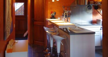 Gite de charme avec grand jardin a 15 minutes de Kaysersberg