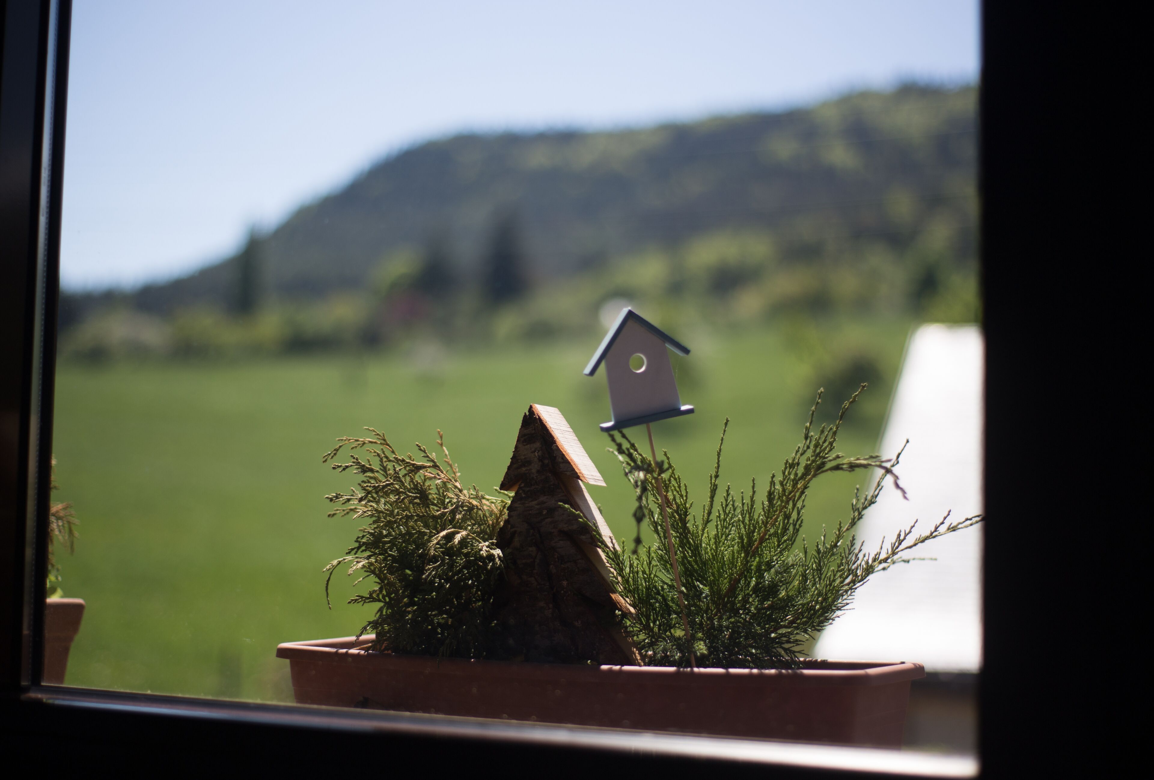 A window view of a green field with a small birdhouse model and a potted plant.