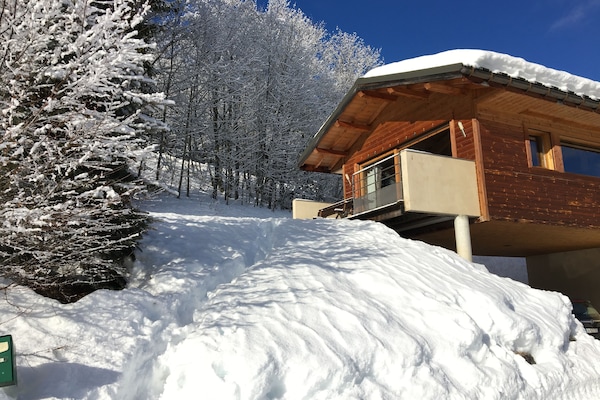 The chalet in winter time