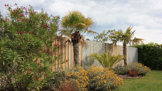 Een aangelegde tuin met diverse planten en een stenen muur.