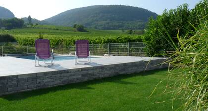 Cottage with heated pool, near Eguisheim