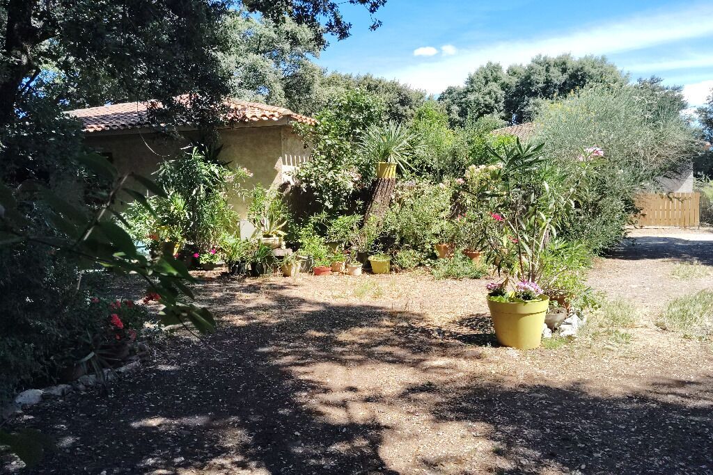 Un jardín con plantas en macetas y un edificio con tejado de azulejos.
