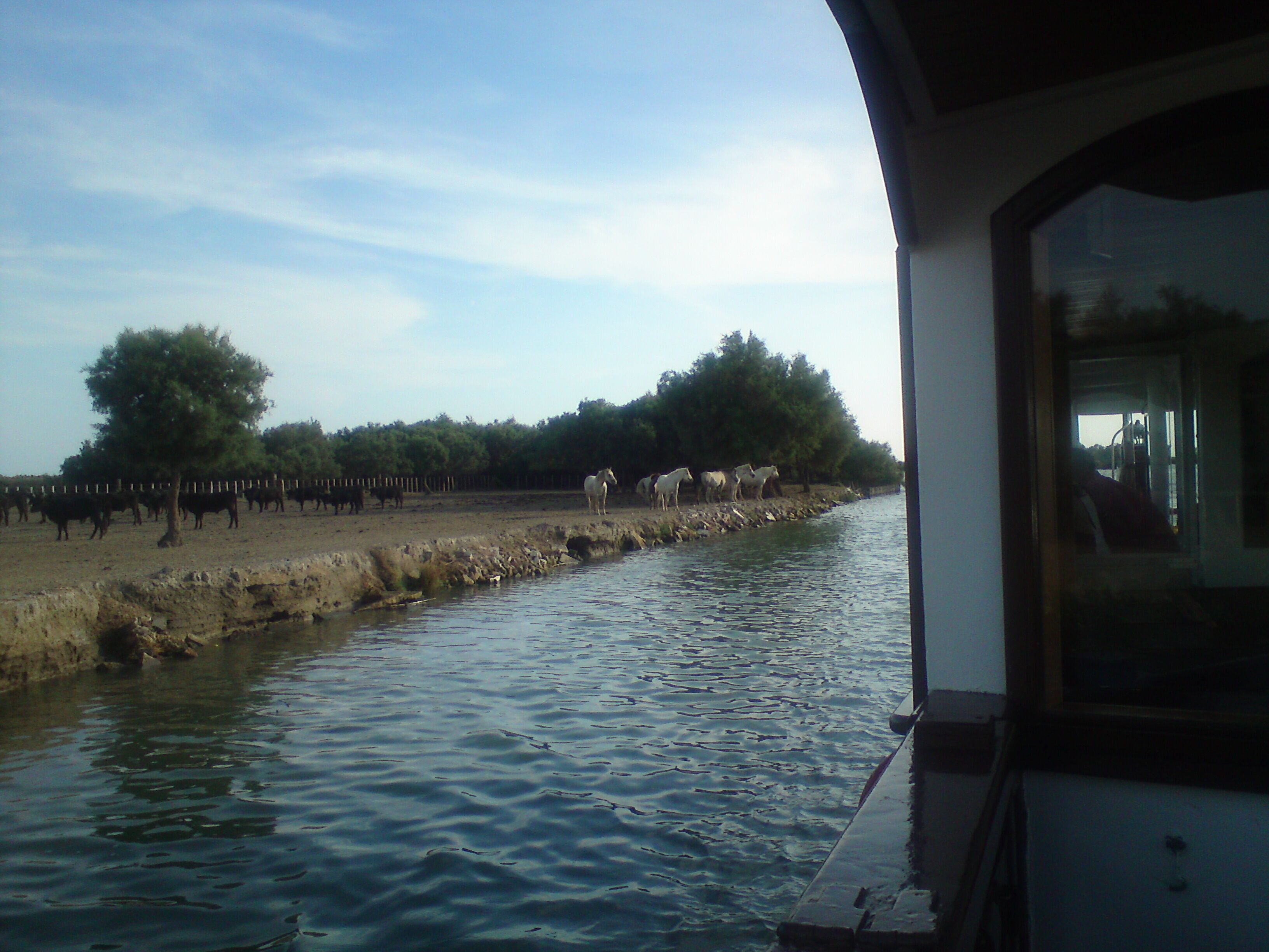 Ballade en Camargue