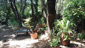 A garden with potted plants, a wooden bench, and a tree.