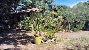 A rustic house with a tiled roof, surrounded by lush greenery and potted plants.