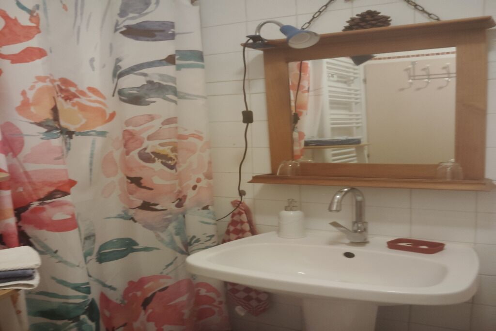 Ett badrum med ett duschdraperi med blommönster, ett vitt handfat med en spegel ovanför och en röd tvålpåse.