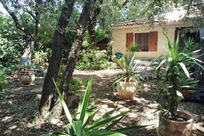 A rustic house with a garden, surrounded by trees and potted plants.