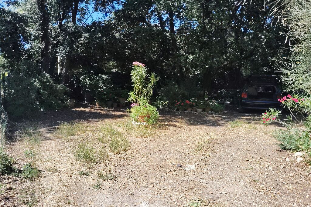 Un sentiero sterrato che si inoltra in una zona boschiva, con un'auto parcheggiata sullo sfondo.