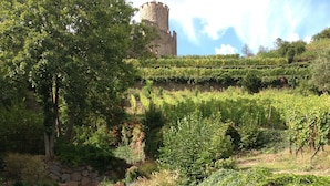 A garden with a stone staircase leading up to a castle.