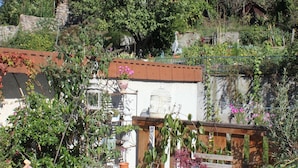 A wooden deck with a lounge chair, a table with chairs, and potted plants.
